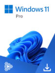 win11